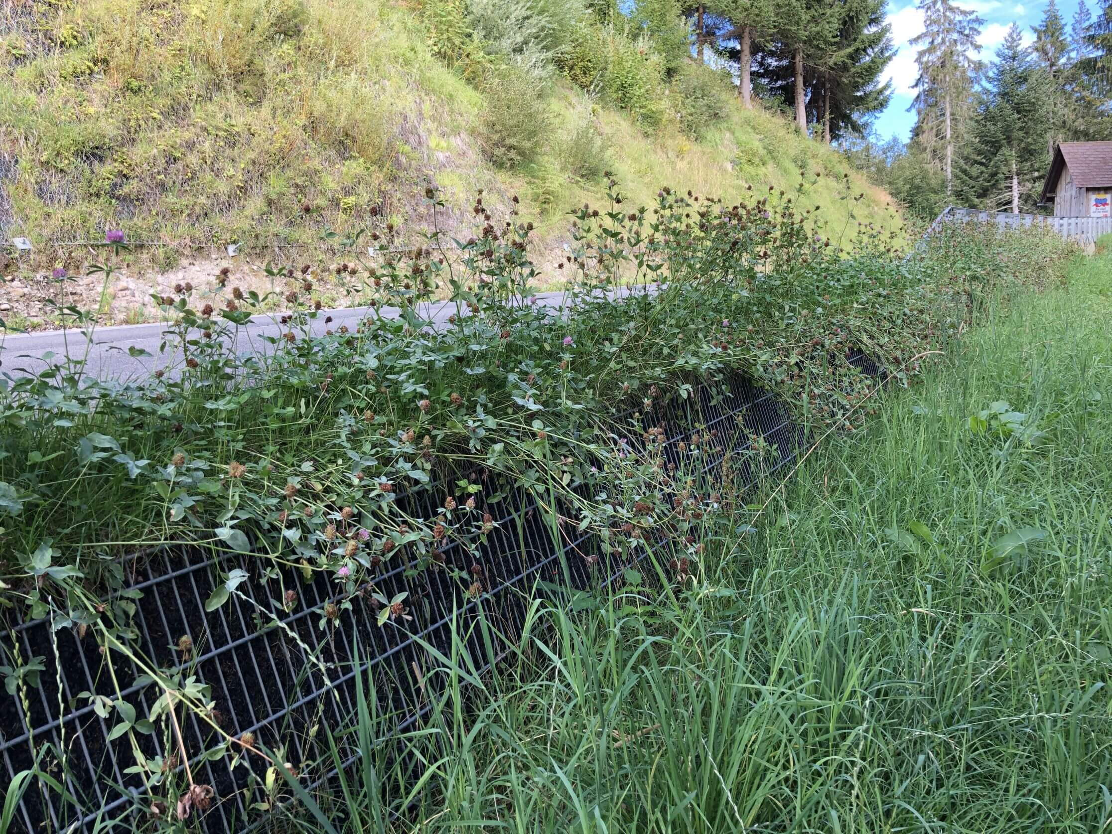 Die Passstrasse in Bewegung Die Passstrasse in Bewegung